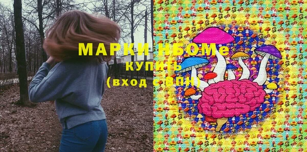 стафф Аркадак