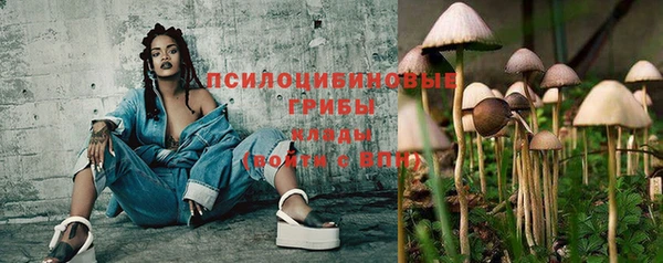 стафф Аркадак