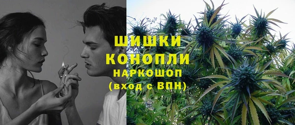 стафф Аркадак