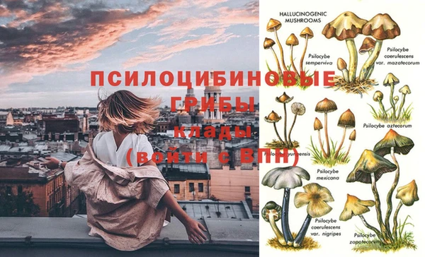 скорость Арсеньев